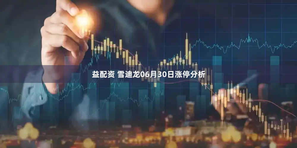 益配资 雪迪龙06月30日涨停分析