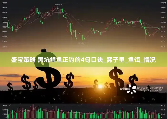 盛宝策略 黑坑鲤鱼正钓的4句口诀_窝子里_鱼饵_情况