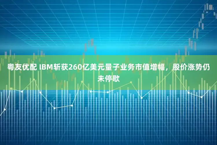 粤友优配 IBM斩获260亿美元量子业务市值增幅，股价涨势仍未停歇